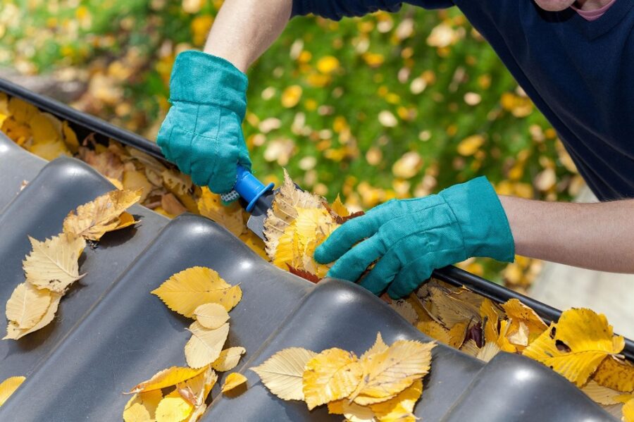 5-useful-tips-to-find-the-best-gutter-cleaning-service